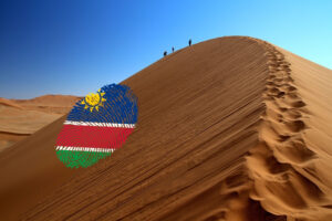 Namibia Visa For Nigeria Application & Cost